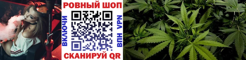  КОКАИН Заречный