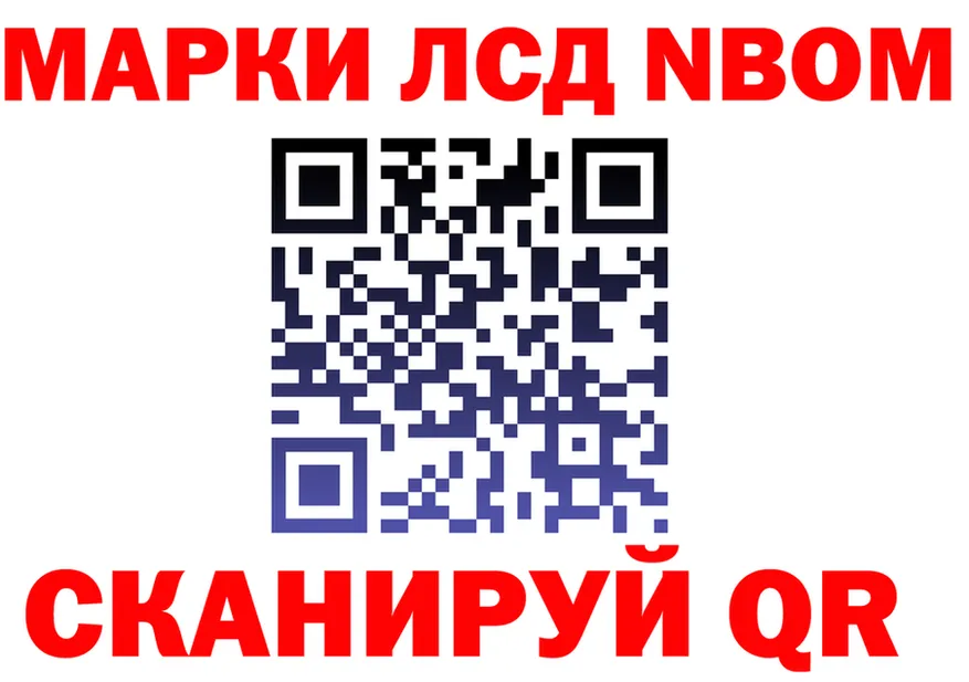 Как найти закладки? darknet формула Заречный
