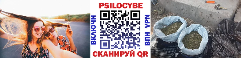 Галлюциногенные грибы мицелий  Заречный 